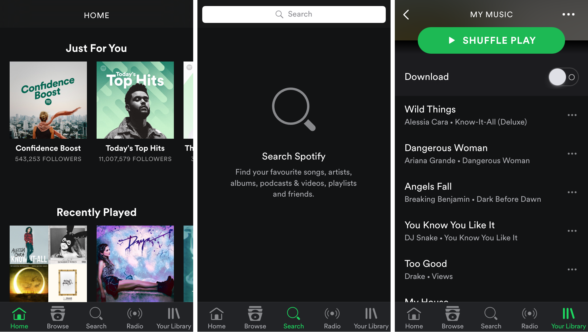 Professional Theme For Spotify Free